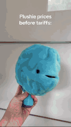 2025 Tariff Impact on Plush Organs