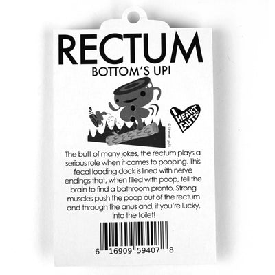 Rectum Keychain - Bringing up the Rear - I Heart Guts
