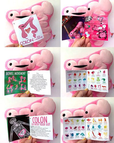 Colon Plush - You Move Me - Plush Organ Stuffed Toy Pillow - I Heart Guts