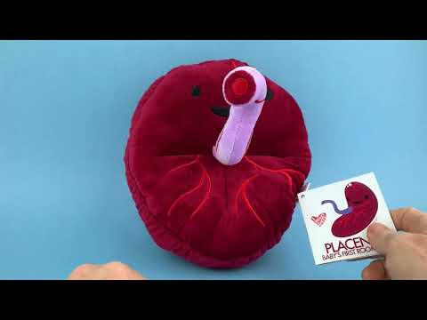 Placenta Plush - Baby's First Roommate - Plush Organ Stuffed Toy Pillow