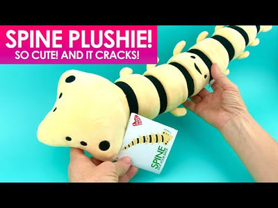 Spine Plushie - Got Your Back - Flexible Spinal Column Pillow