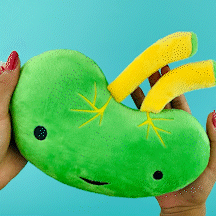 Spleen Plush Lymphin The Dream Plush Organ Stuffed Toy Pillow I Heart Guts Plush Organs