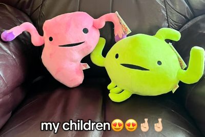Emotional Support Plushies