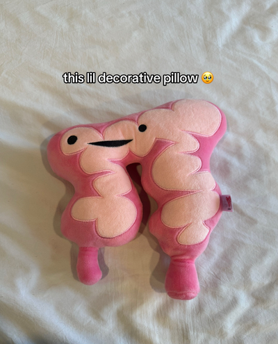 Our Colon Plushie Brings A Smile To This Pelvic Floor Therapist