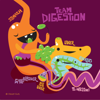 Team Digestion!