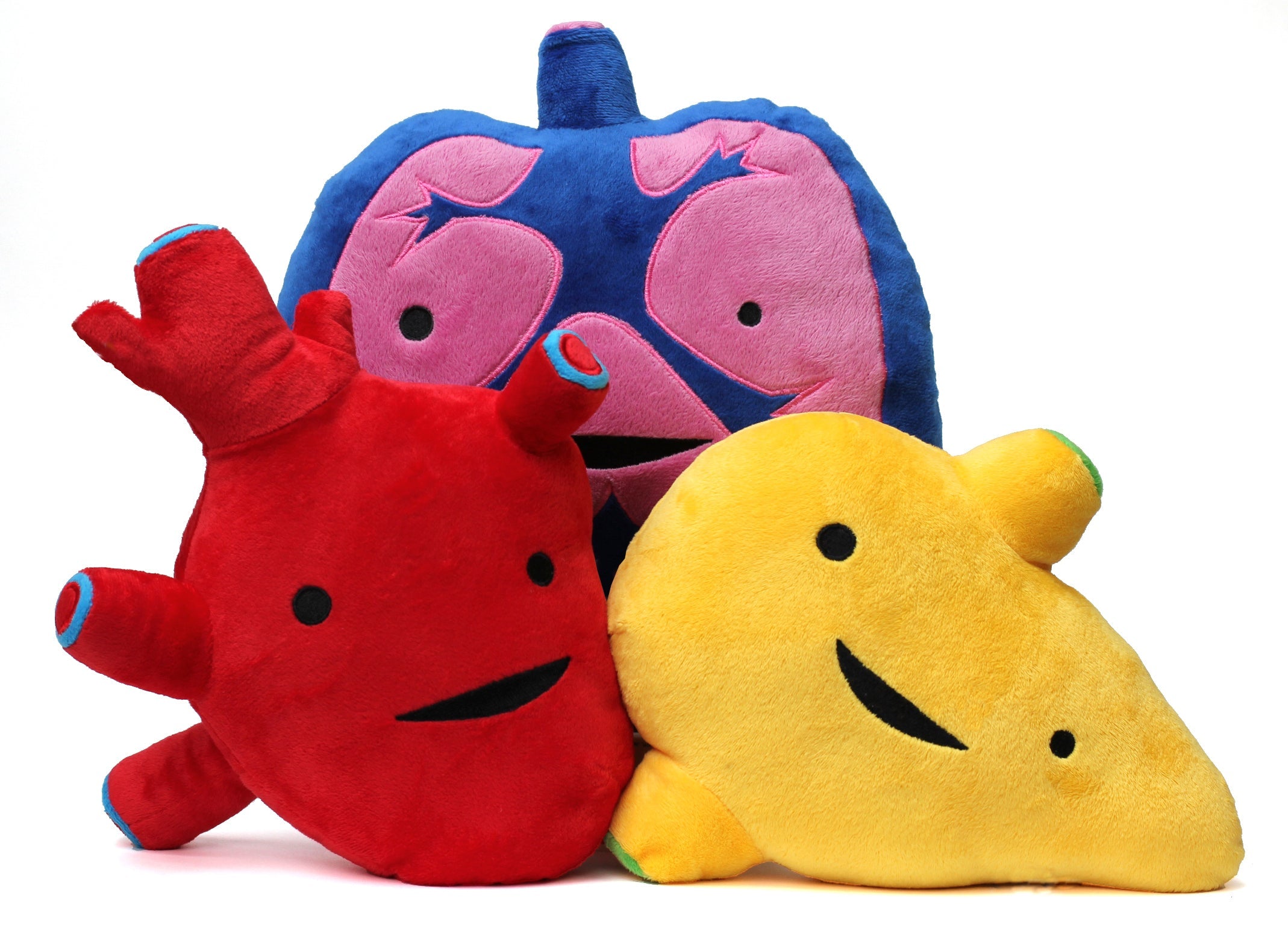 Transplant Gifts | Surgery and Recovery Gifts - Organ Transplant Post ...