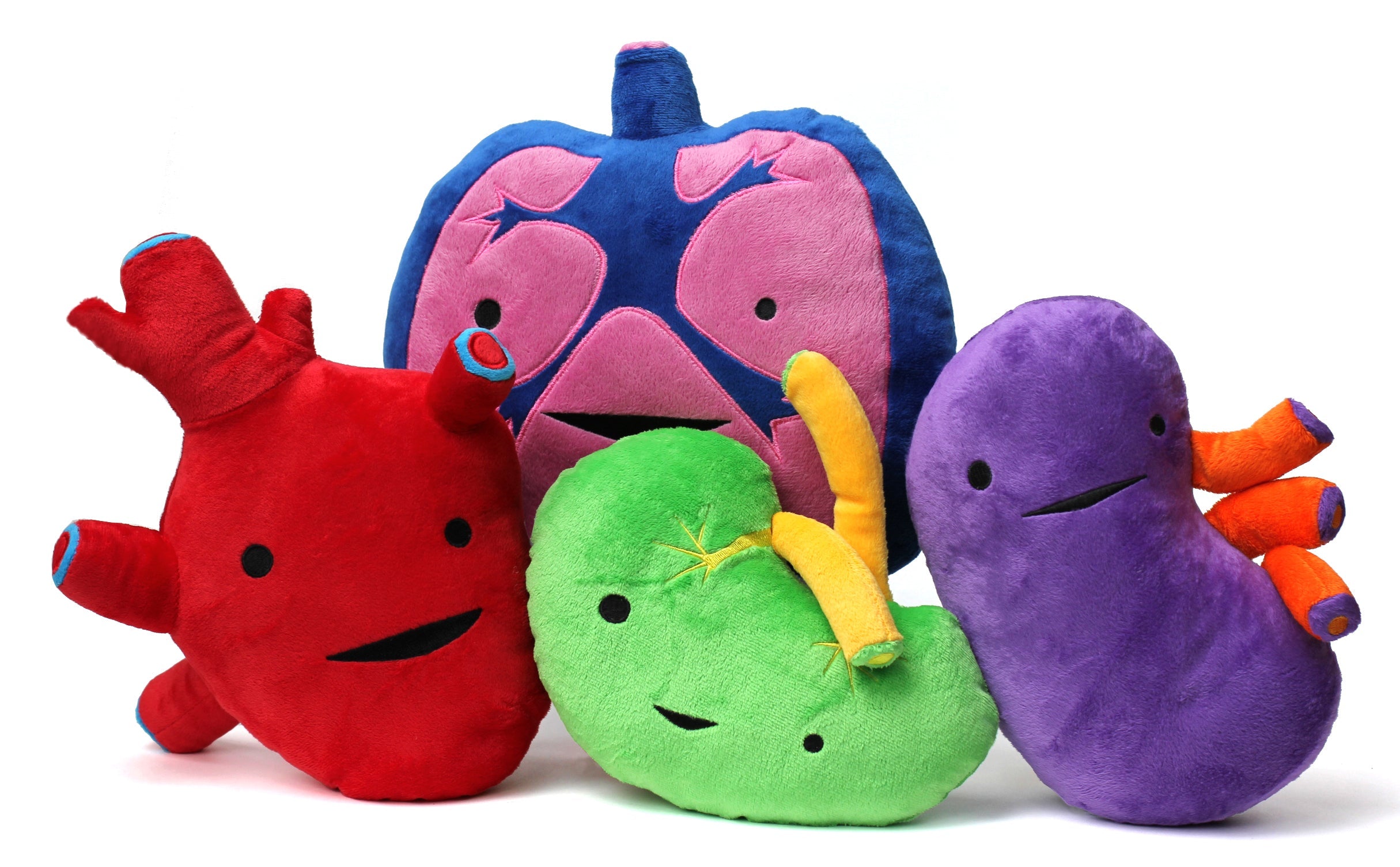 Funny Cute Plush Organs and Body Part Stuffed Animals - I Heart Guts ...