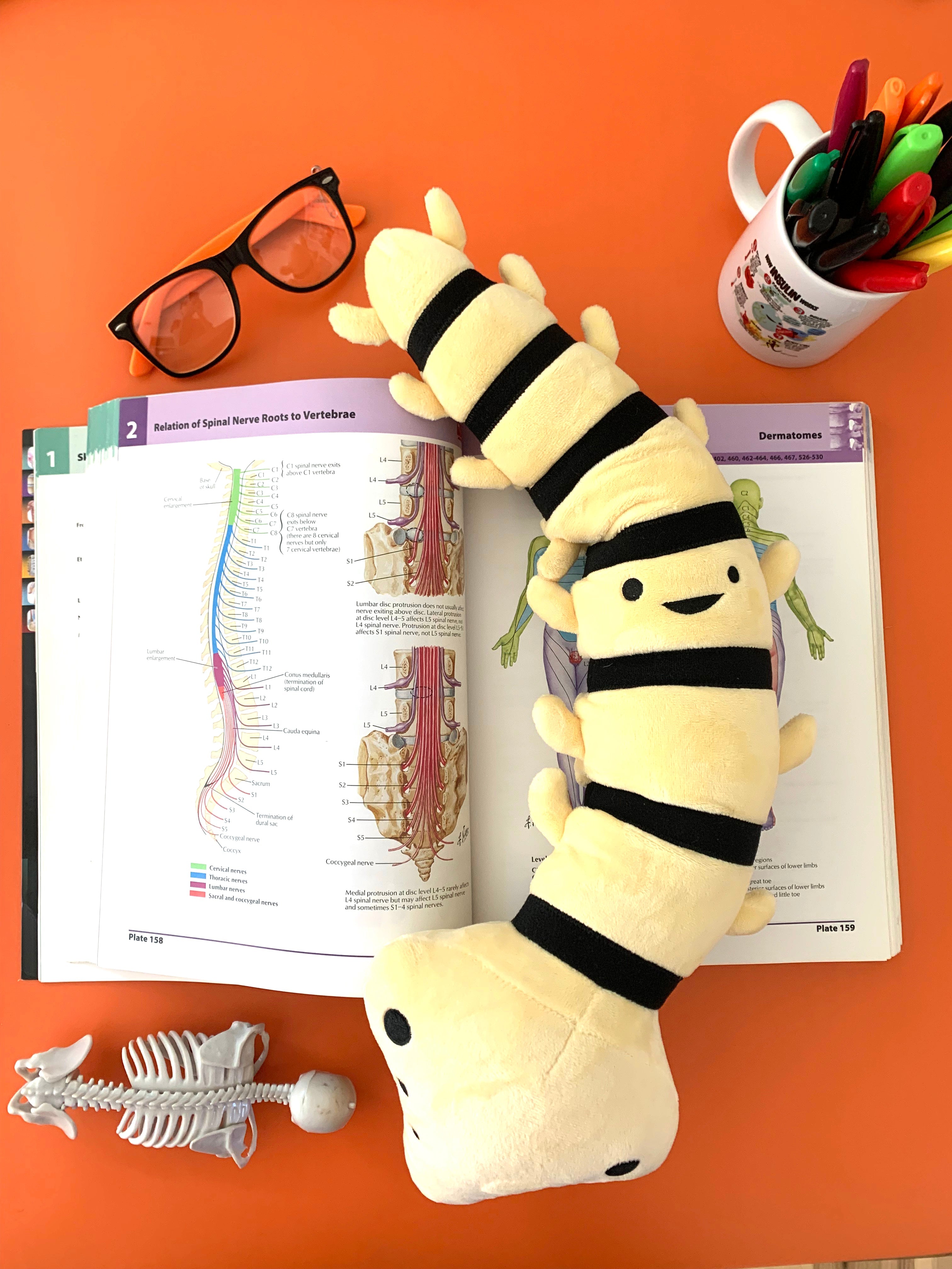 Science Plushies & Human Anatomy Stuffed Toys | I Heart Guts Plush Organs