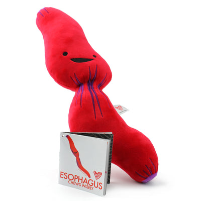 Esophagus Plushie - Cute GERD Stuffed Toy Acid Reflux Plush Esophageal Surgery Cute Gift