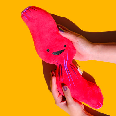 Esophagus Plushie - Cute GERD Stuffed Toy Acid Reflux Plush Esophageal Surgery Cute Gift