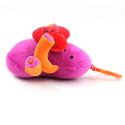 Kidney Mini Plushie Bag Charm - Urine Good Hands 4" Keychain