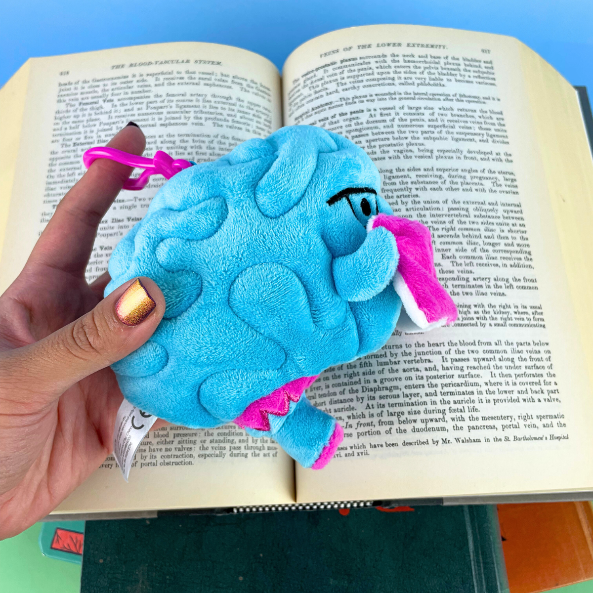 Brain Mini Bag Charm - Cute Brain 5" Plushie Keychain for Studying, Mental Health, Neuroscience
