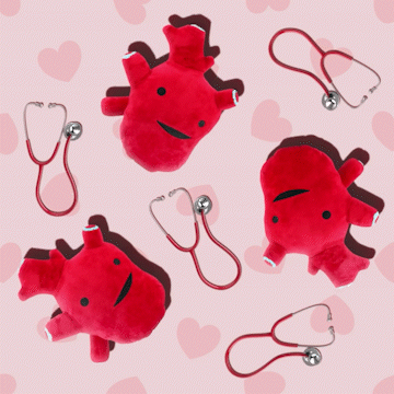 Anatomical top heart plush