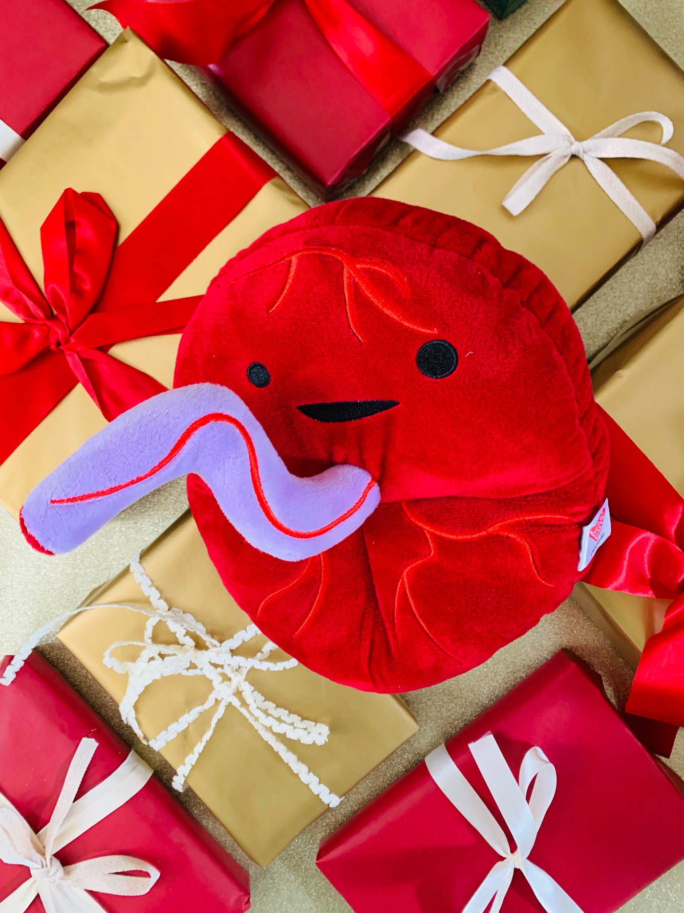 Placenta Plushie - Baby's First Roommate - Plush Organ Stuffed Toy Pillow