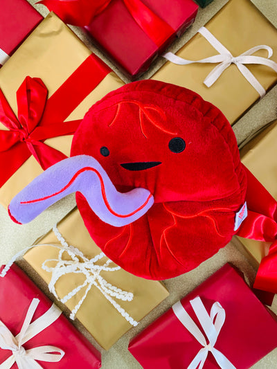 Placenta Plushie - Baby's First Roommate - Plush Organ Stuffed Toy Pillow