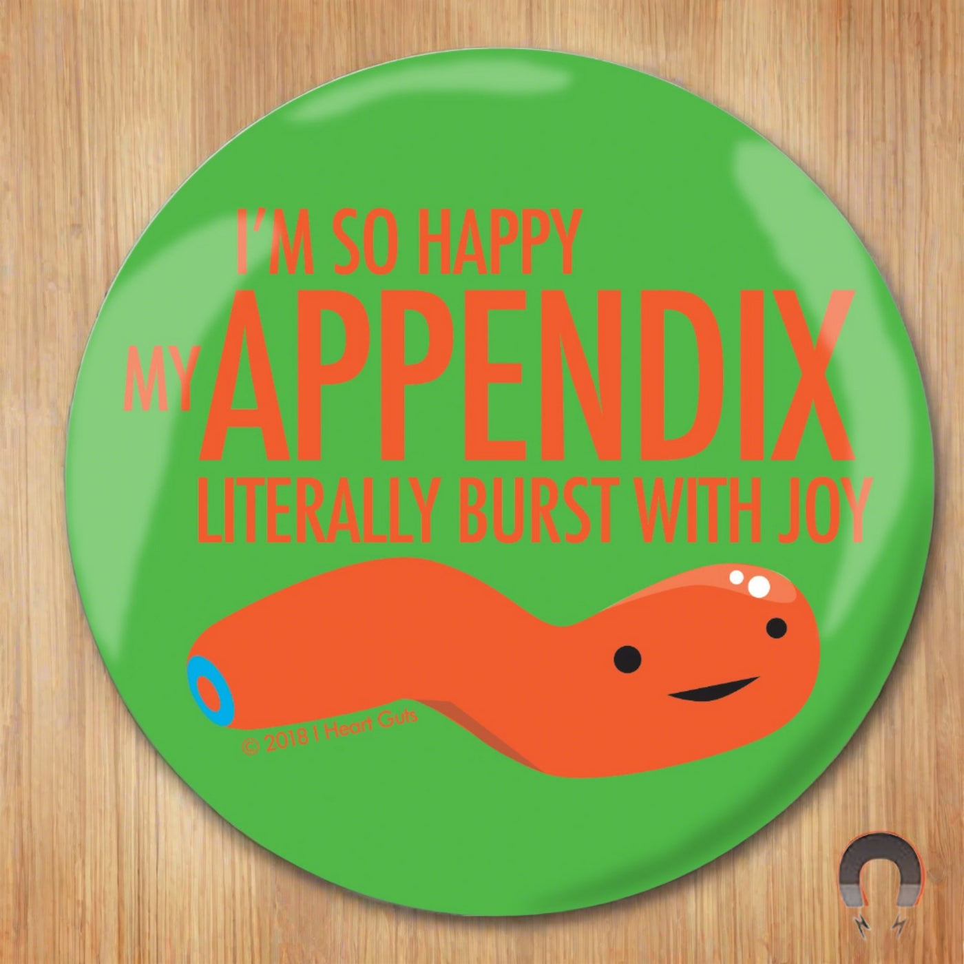 Appendix Literally Exploded Magnet | Appendix Removal Gift