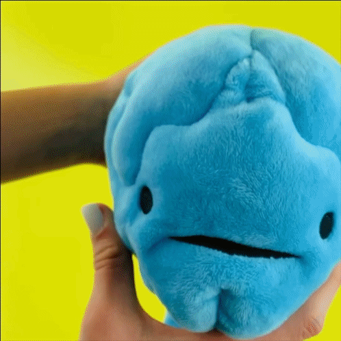 Brain Plushie All You Need Is Lobe Plush Organ Stuffed Toy Pillow