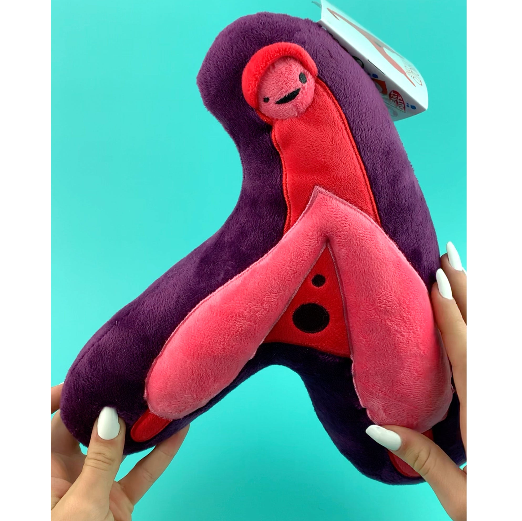 Clitoris Plush Toy - Enjoy Your Clitoris Organ Plush Stuffed Animal Pillow  | I Heart Guts®️ Plush Organs