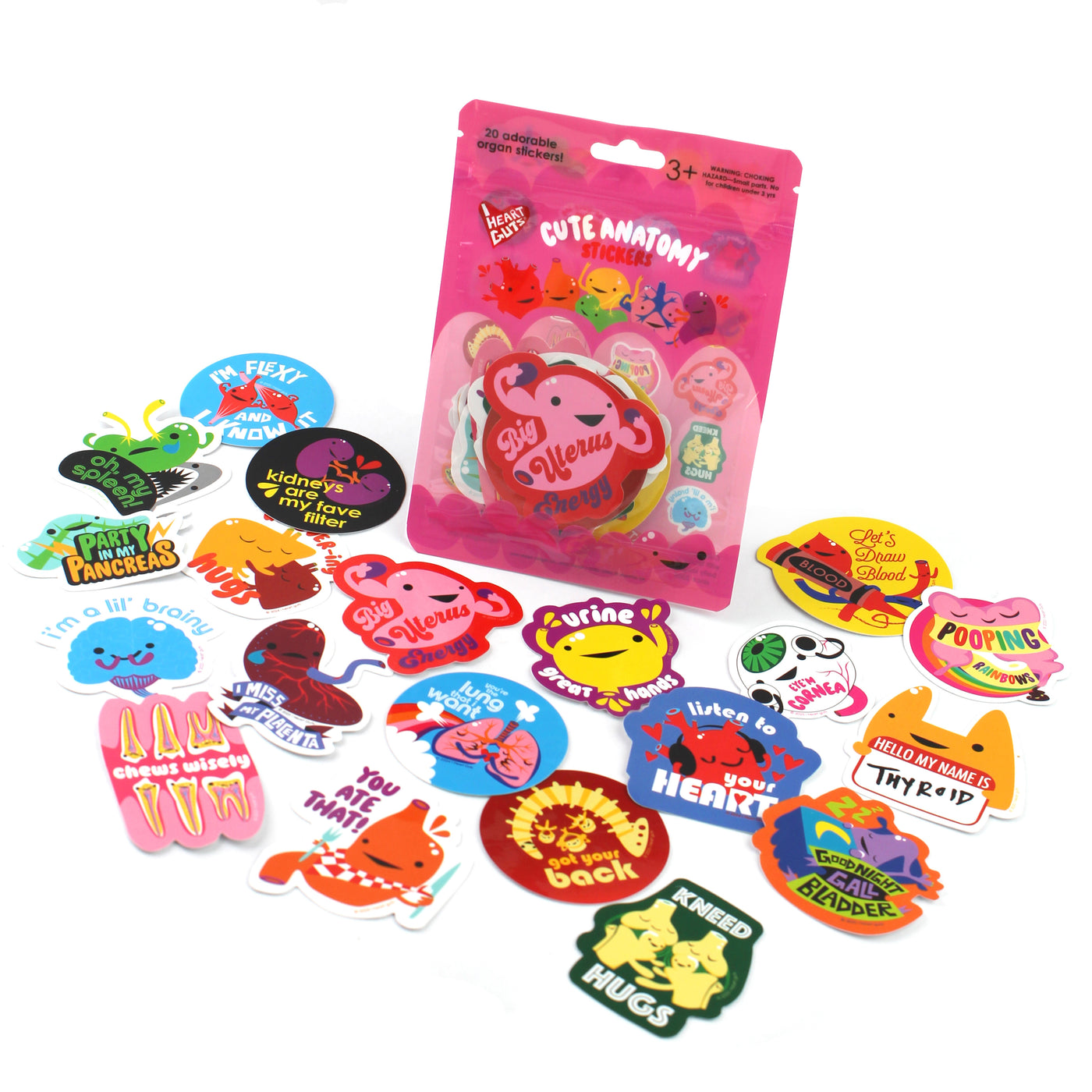 Cute Anatomy Stickers - 20 Human Organ Variety Pack of 2.25" Stickers