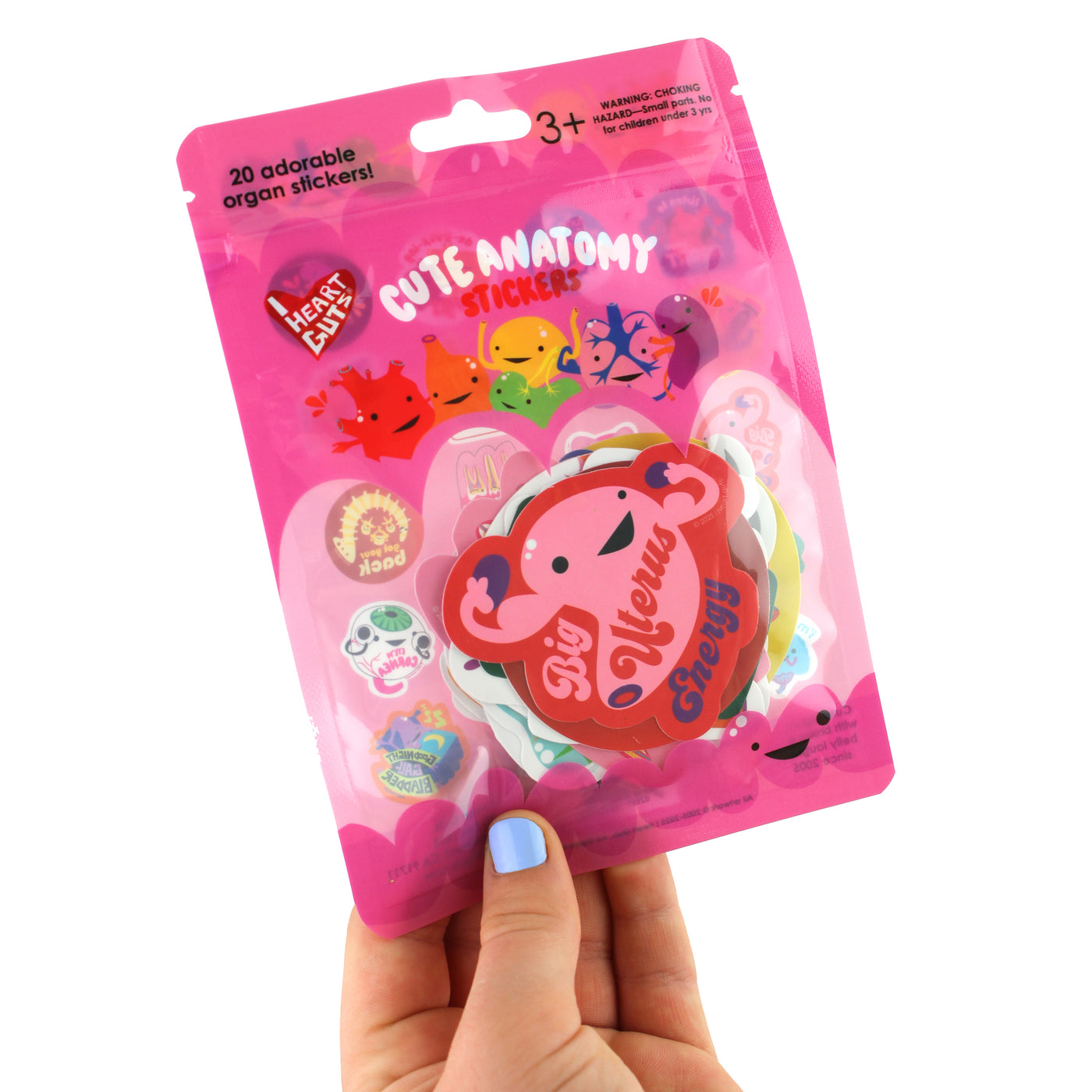 Cute Anatomy Stickers - 20 Human Organ Variety Pack of 2.25" Stickers