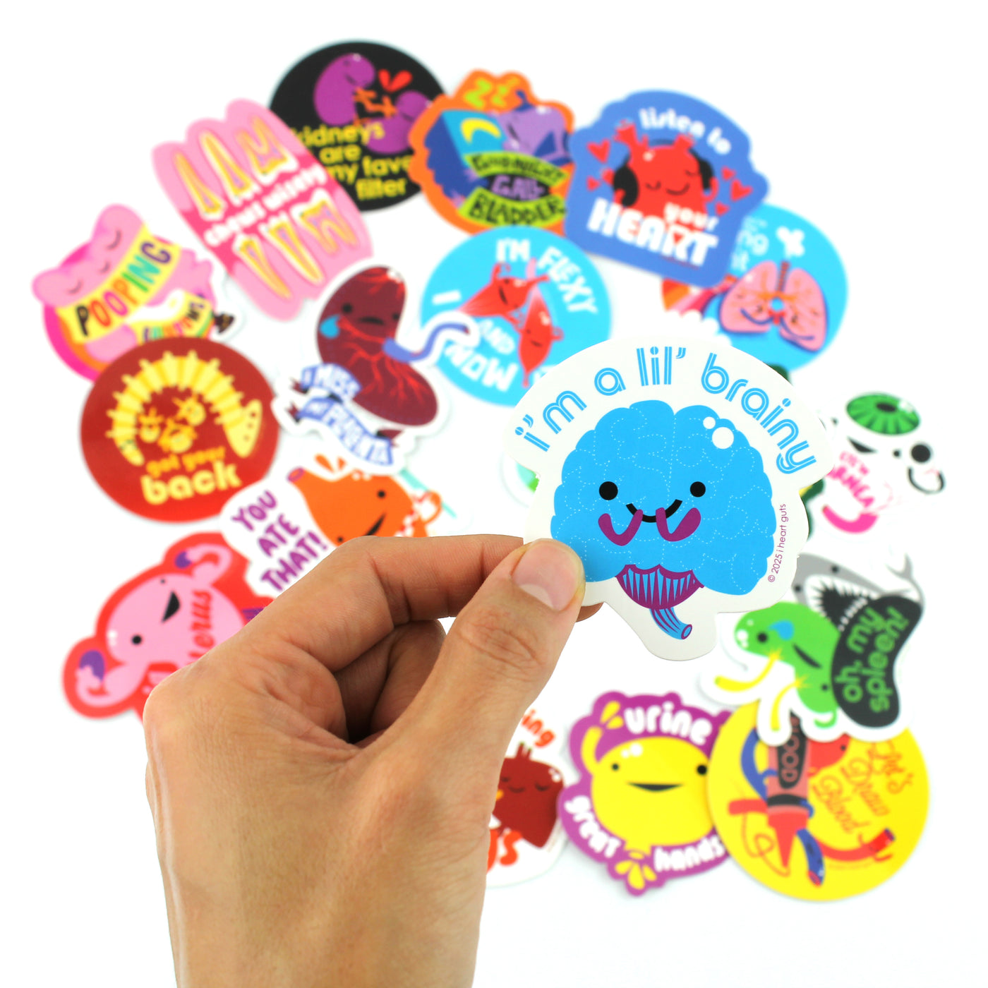 Cute Anatomy Stickers - 20 Human Organ Variety Pack of 2.25" Stickers