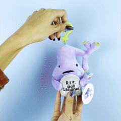 Gallbladder Mini Plushie Bag Charm - 5" Cute Gallbladder Surgery Gift, Gallbladder RIP Plush Keychain