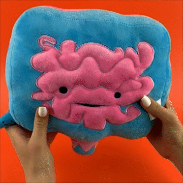 Intestine Plush - Go With Your Gut! - Plush Organ Stuffed Toy Pillow - I Heart Guts