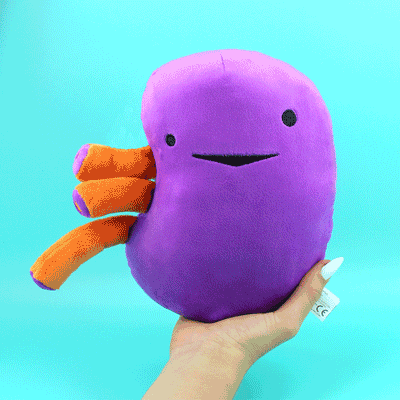 I Heart Guts Organ Plushies, Anatomy Stuffed Toys