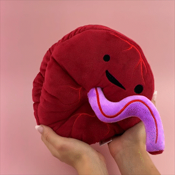 I Heart Guts Placenta Plush - Baby's First Roomate
