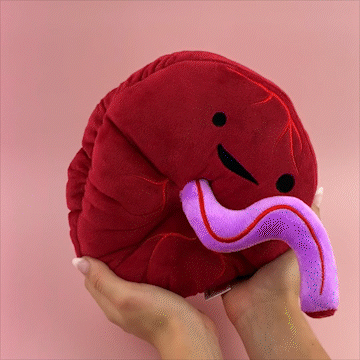 Placenta plush online