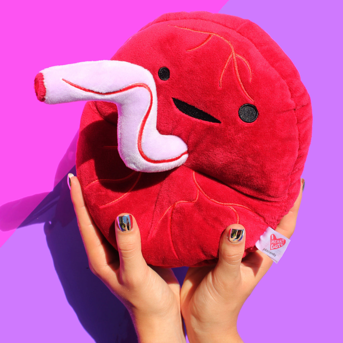 Placenta Plushie - Baby's First Roommate - Plush Organ Stuffed Toy Pillow