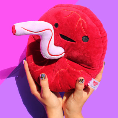 Placenta Plush - Baby's First Roommate - Plush Organ Stuffed Toy Pillow