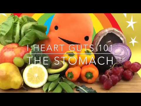 Stomach Plush - I Ache For You - Plush Organ Stuffed Toy Pillow