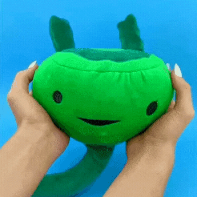 Prostate Plushie - A Seminal Work! - Prostate Cancer Surgery Gift Pillow