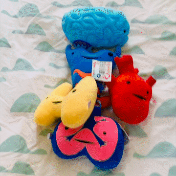 Thyroid Plush - Burn, Thyroid, Burn! - Plush Organ Stuffed Toy Pillow - I Heart Guts