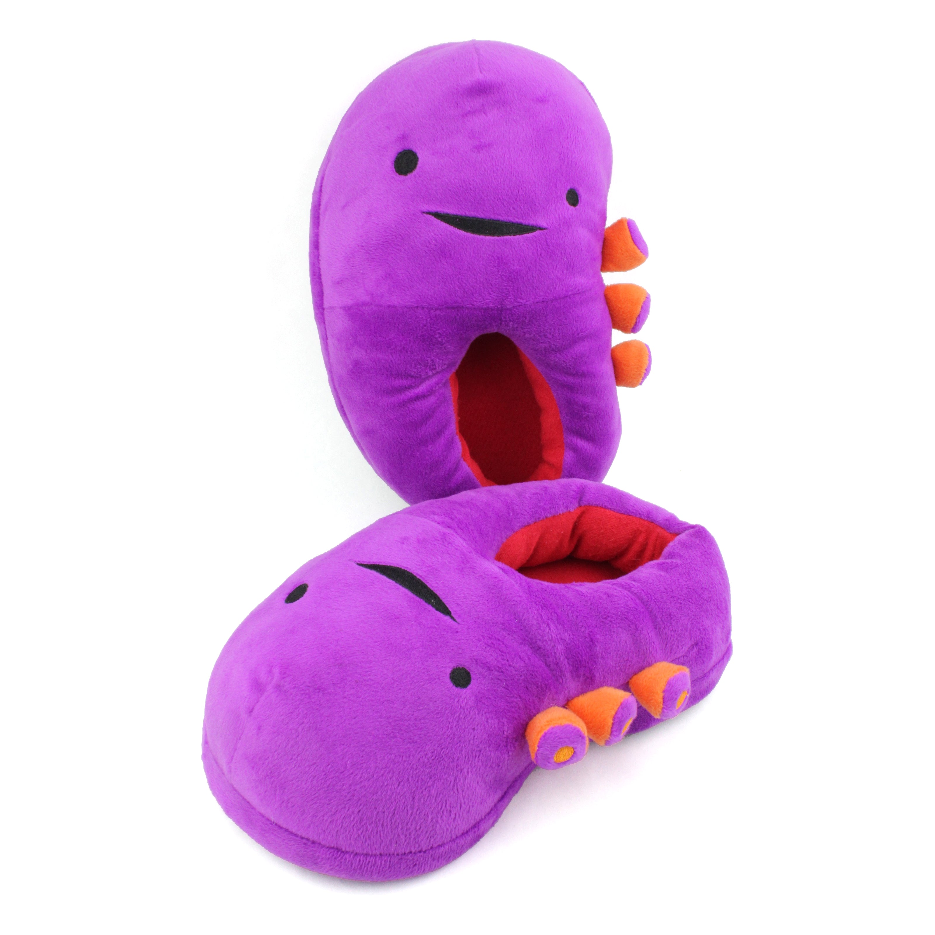 Kidney Slippers | Kidney Surgery Gift - Kidney Donor Funny Gift by I Heart Guts