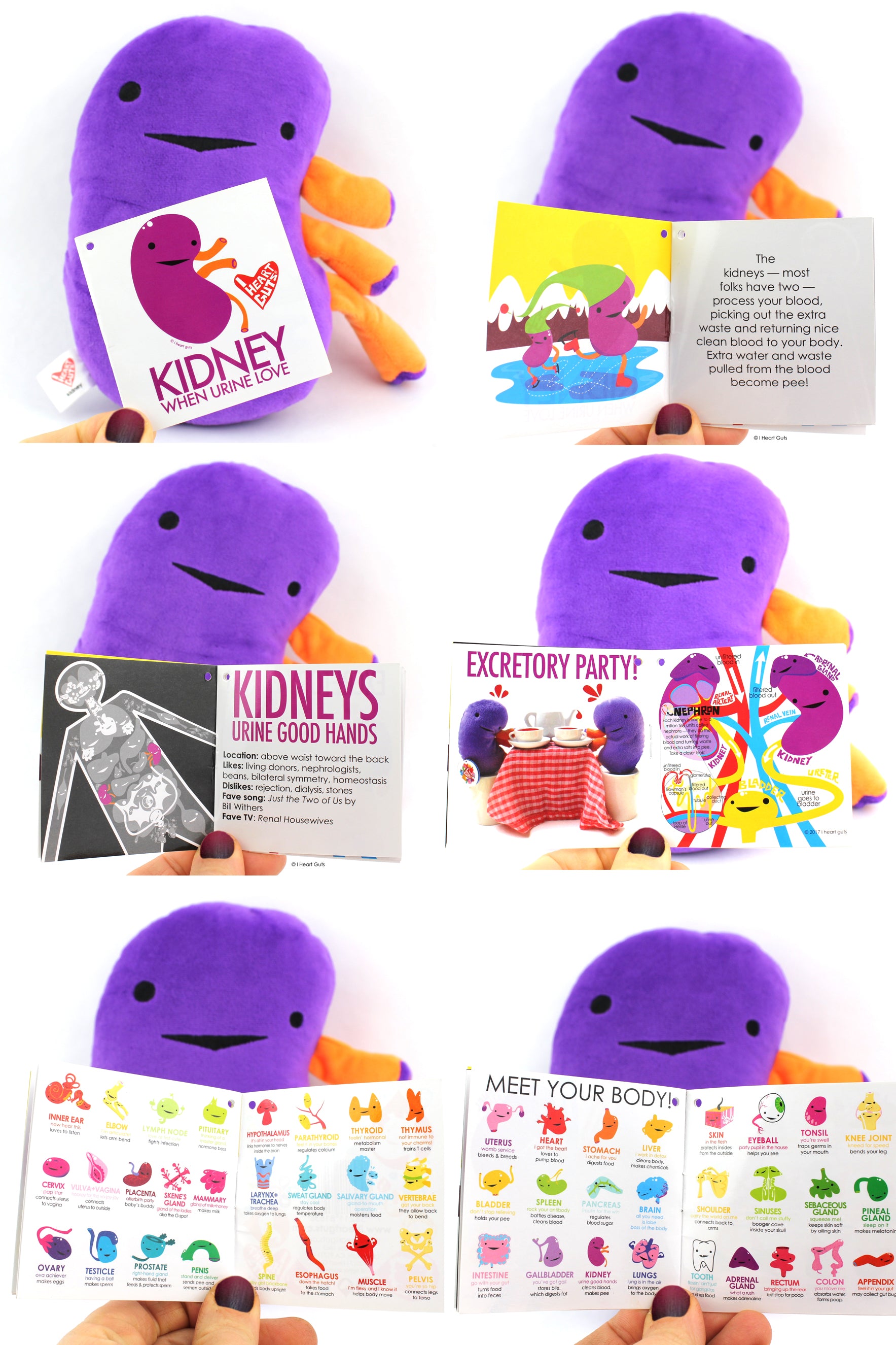 Kidney plush on sale