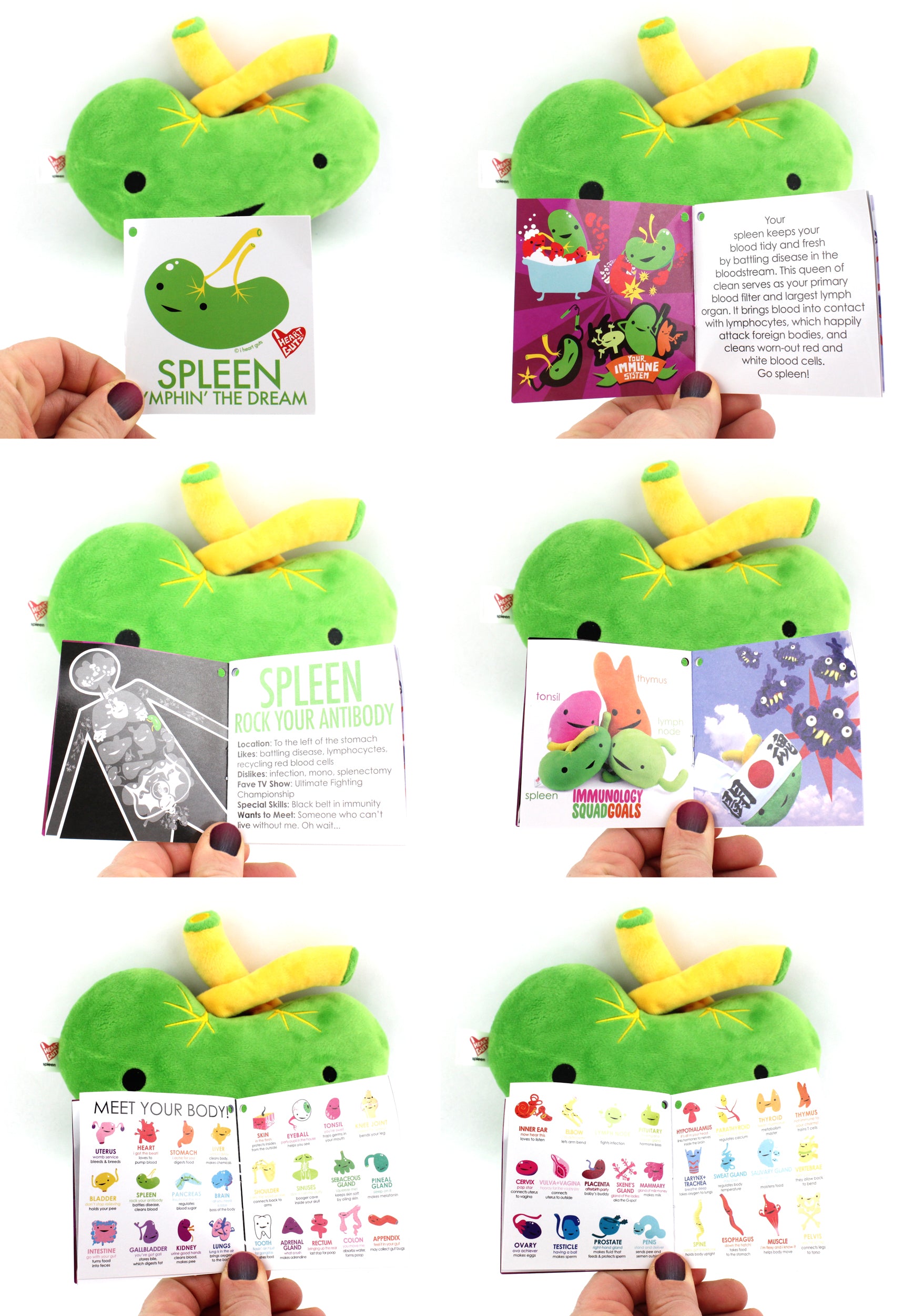 Spleen stuffed shop animal