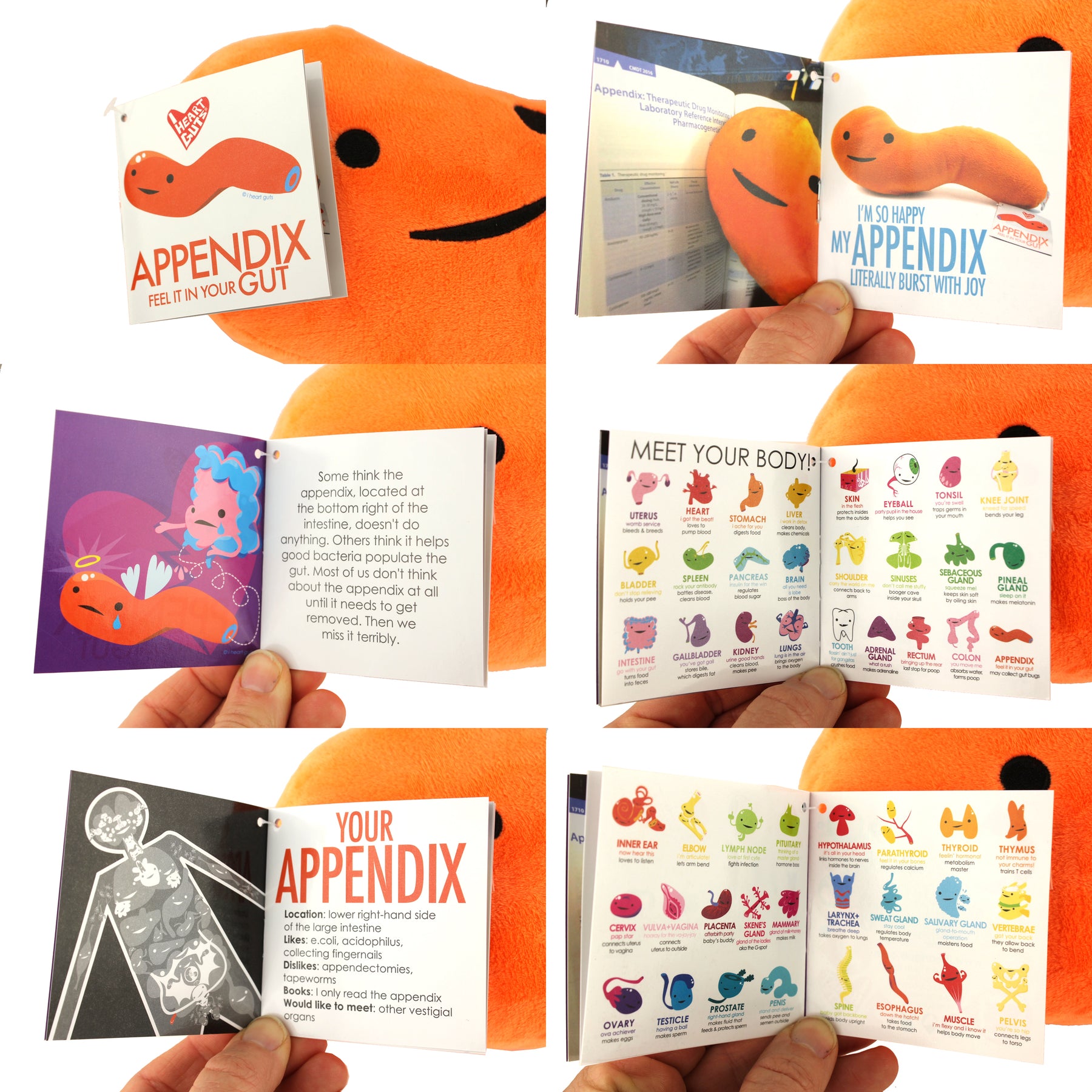 Appendix Plushie Get Well - Feel It In Your Gut - Plush Organ Toy | I ...