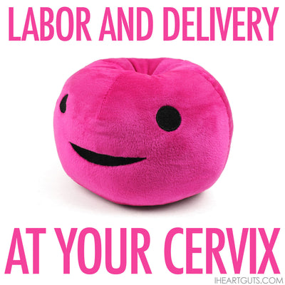 Cervix Plush - Pap Star - Plush Organ Stuffed Toy Pillow - I Heart Guts