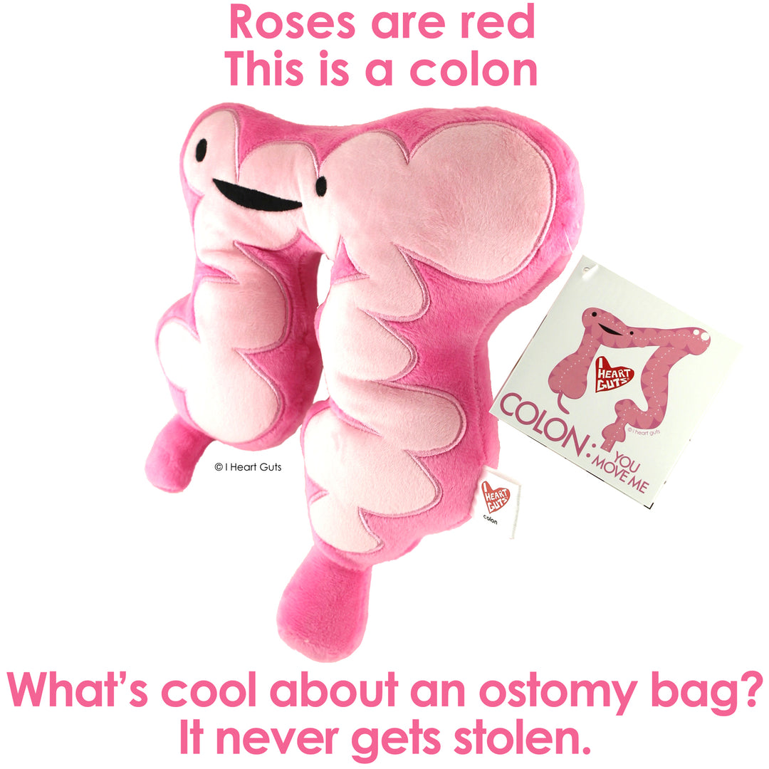 Colon Plush | Get Well Colon Surgery Stuffed Toy Pillow, Colon