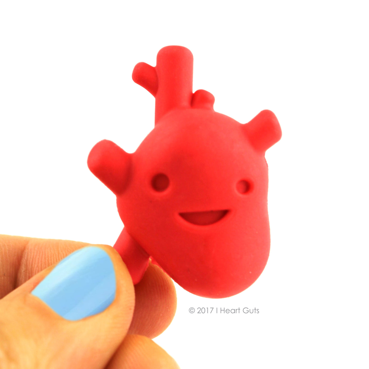 Happy Organ Eraser Set Variety Pack