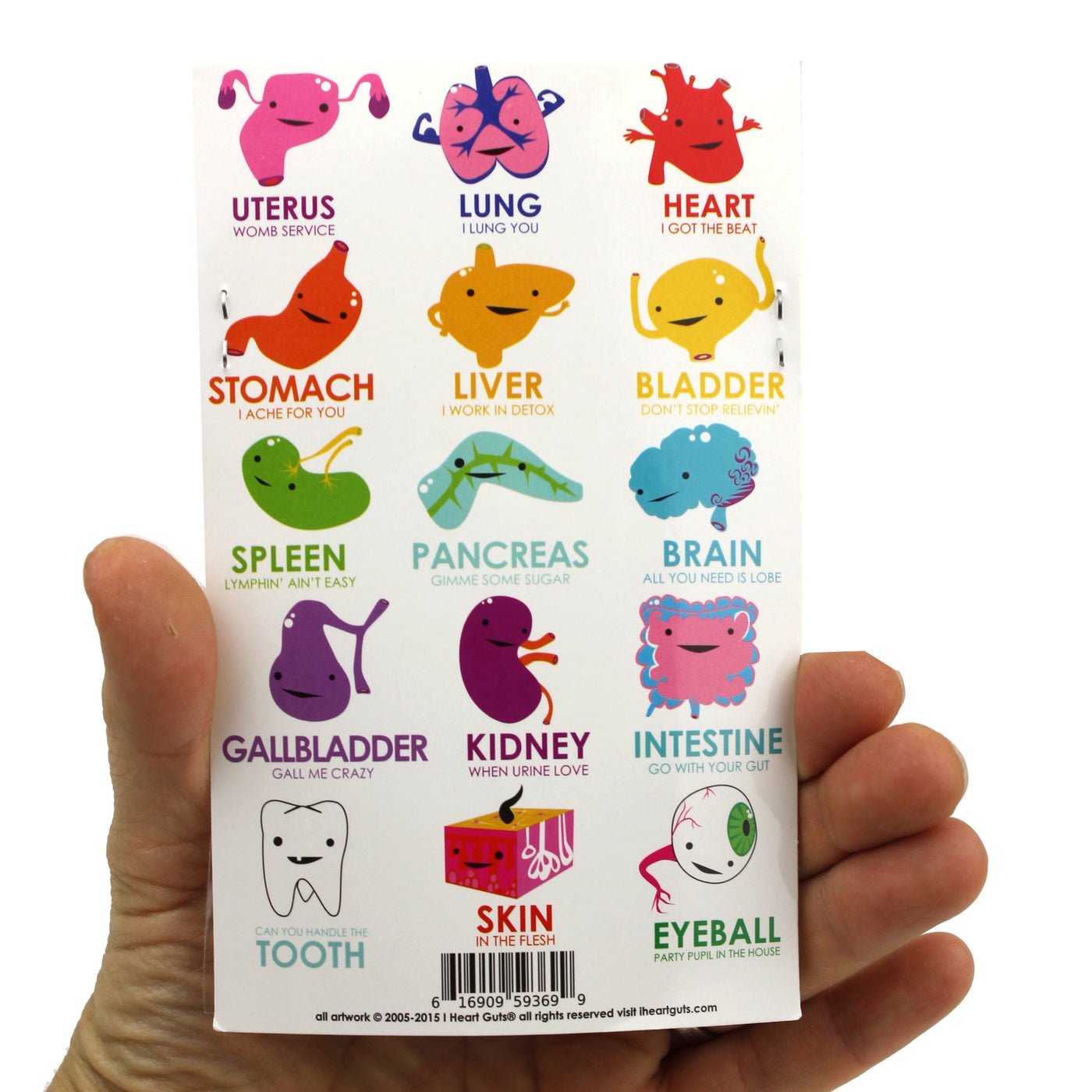 SALE Giant Guts Sticker Set - 15 Organs and Friends - Damaged Packaging - I Heart Guts