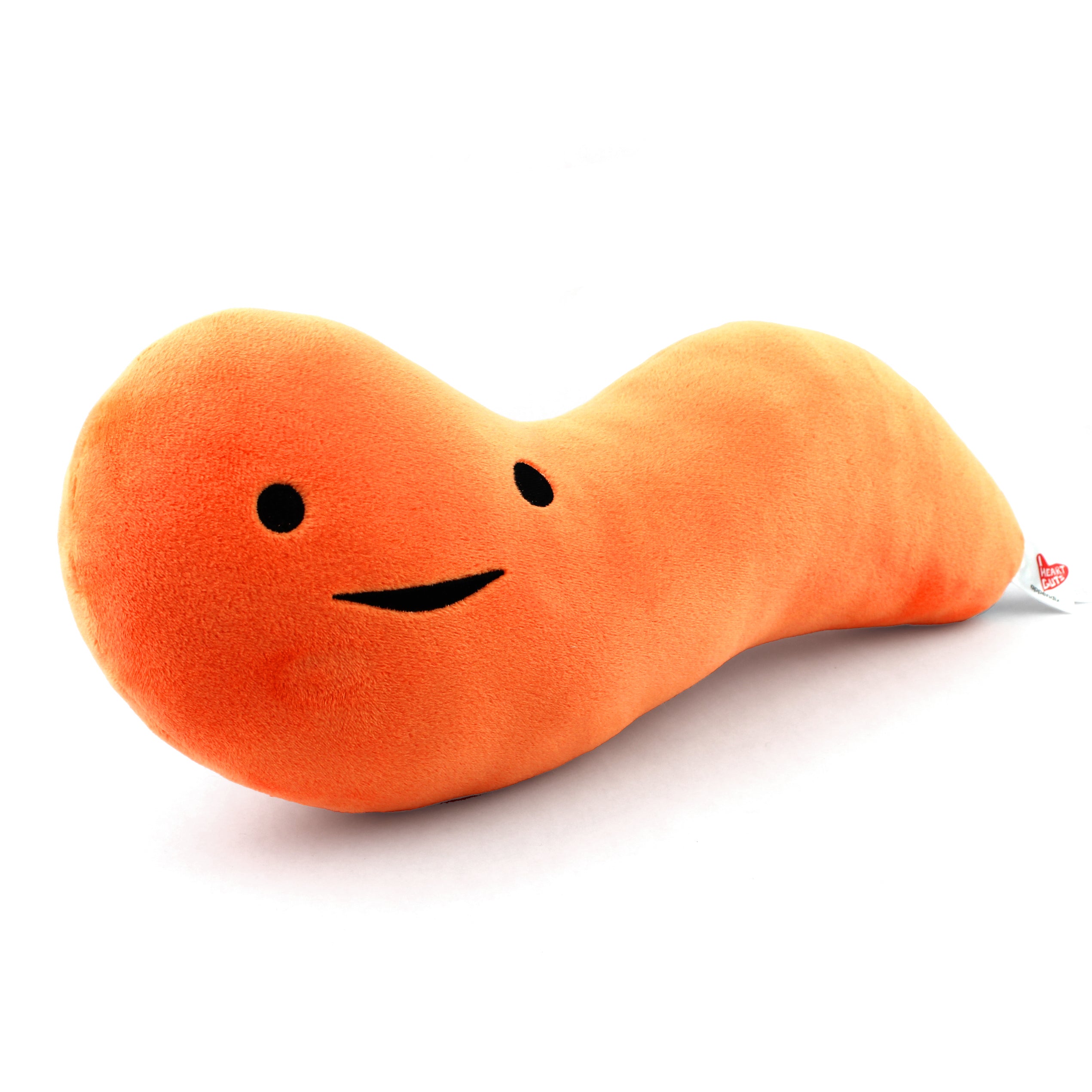 Appendix Plush - Feel It In Your Gut - Plush Organ Stuffed Toy Pillow