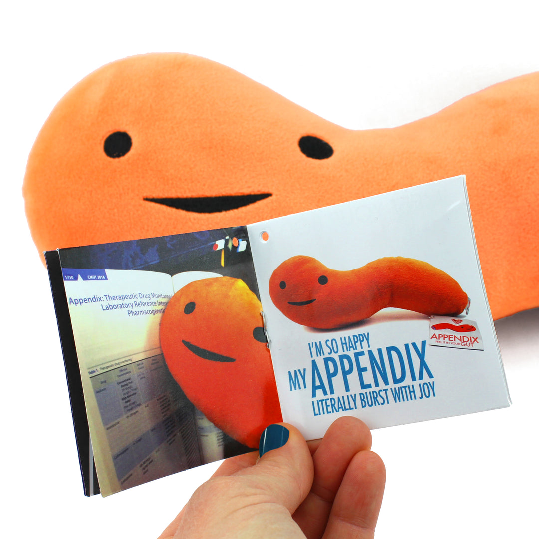 Appendix Plushie Get Well Feel It In Your Gut Plush Organ Toy I Heart Guts Plush Organs