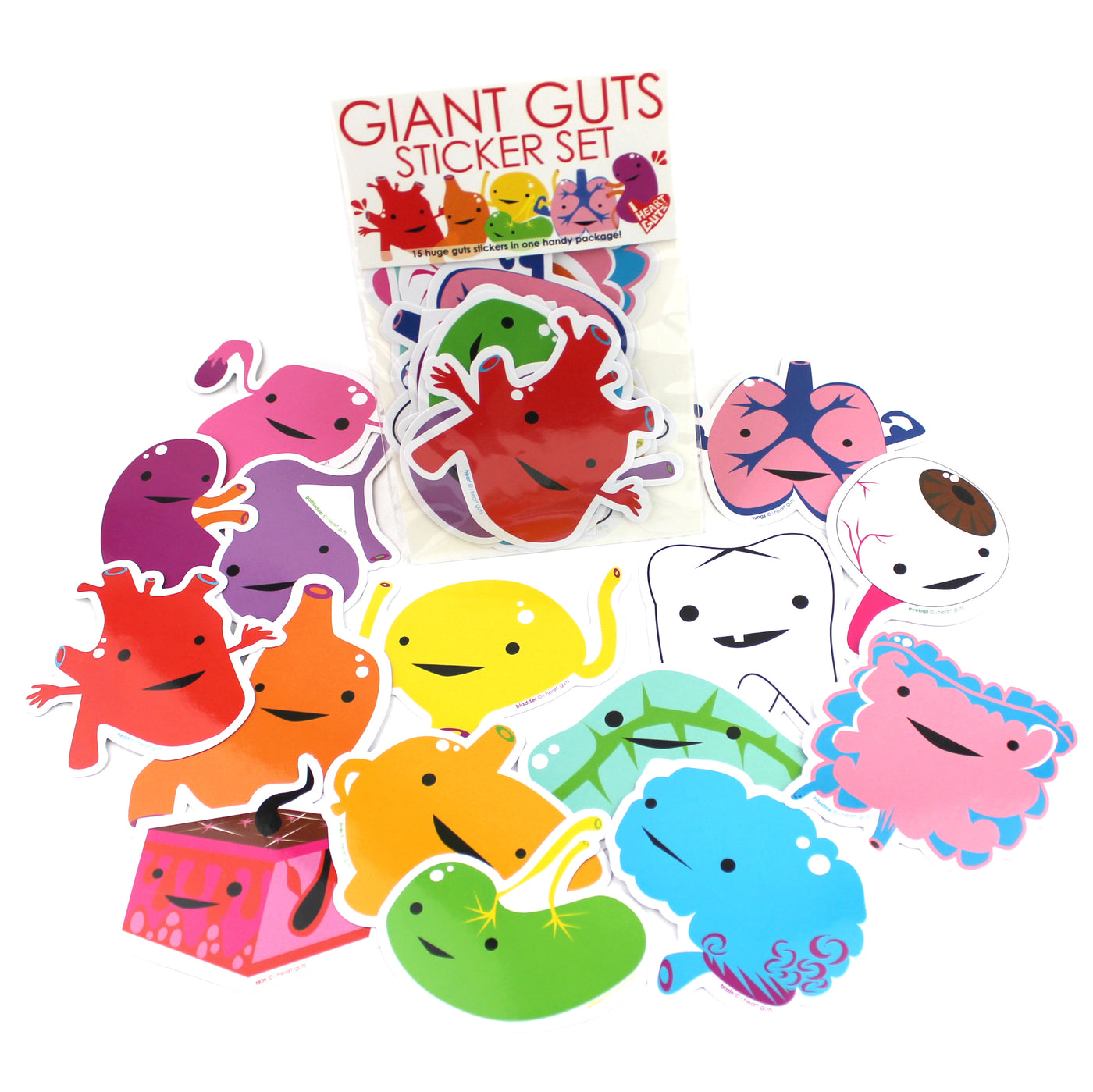 Giant Guts Sticker Set - Human Anatomy Stickers - Cute Organ Vinyl Stickers