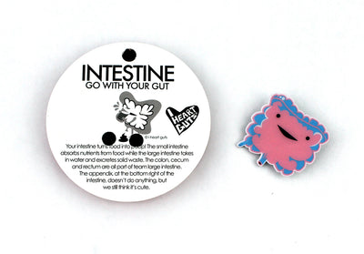 Intestine Pin - Cute & Funny Intestine Lapel Pin - Intestine Art Pins, Gifts