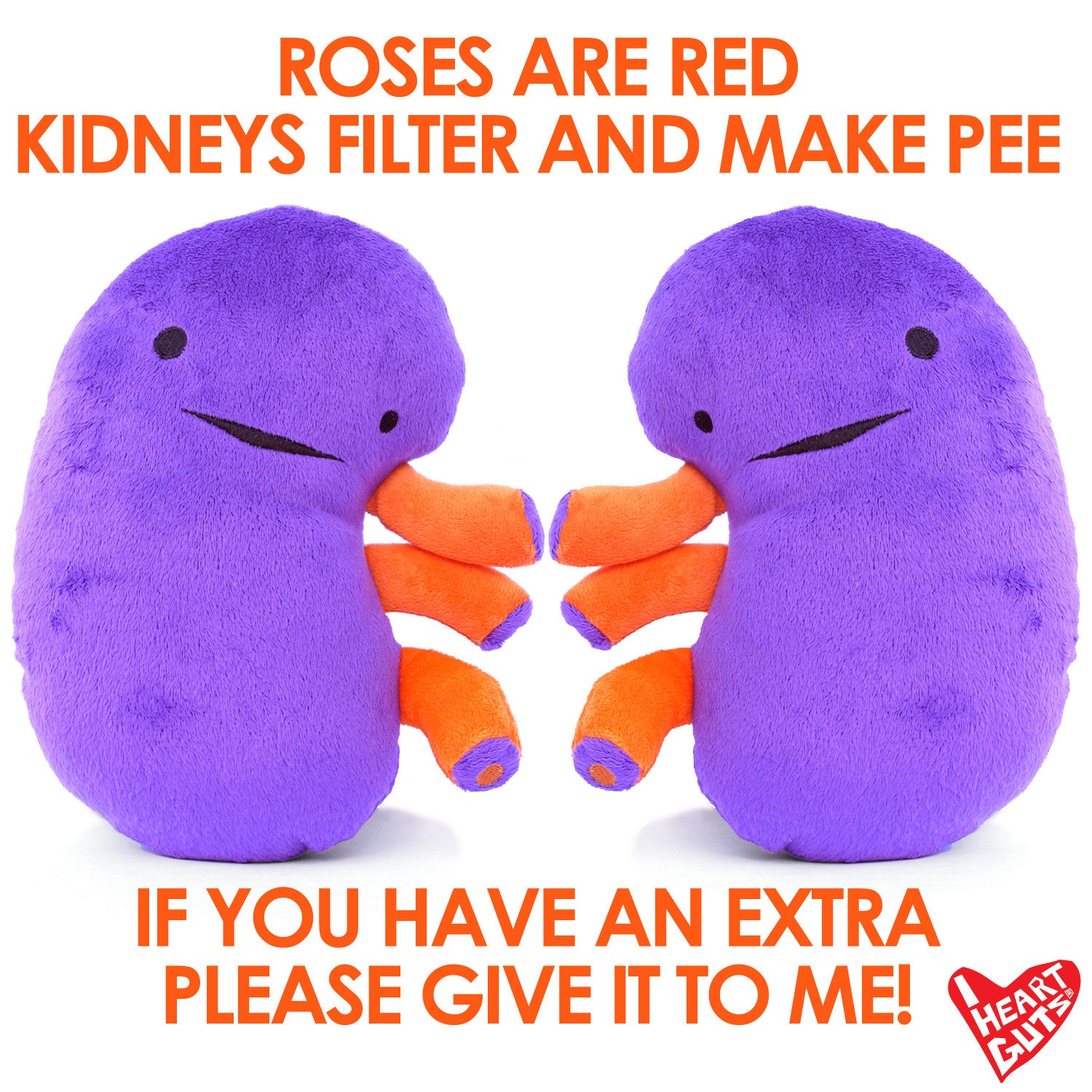 Kidney Plushie Toy - When Urine Love! - Plush Organ Stuffed Toy | I ...