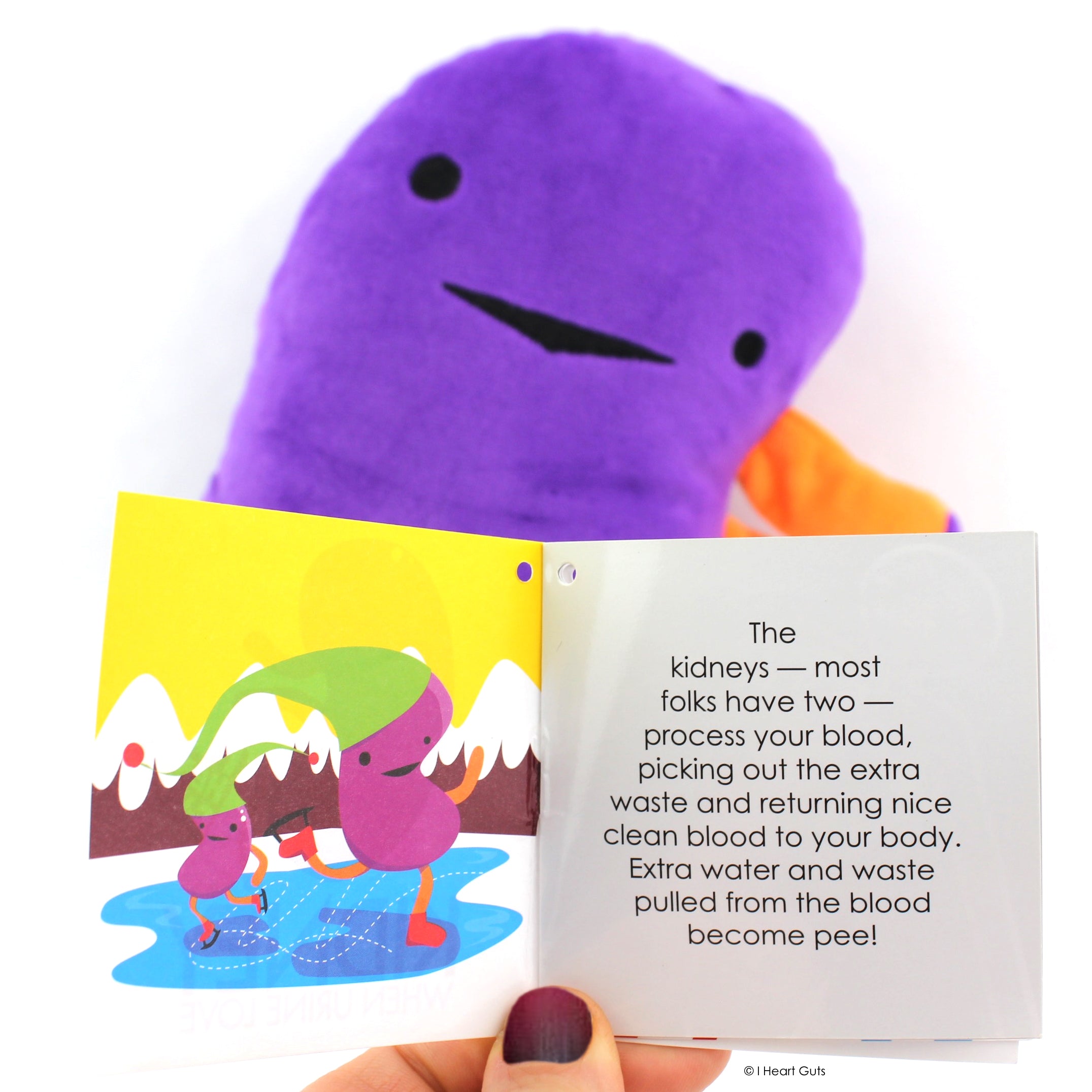 Kidney plush top