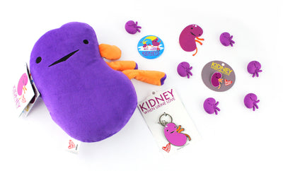 Kidney Keychain - Cute Kidney Keychains - Funny Anatomical Organ Keychains